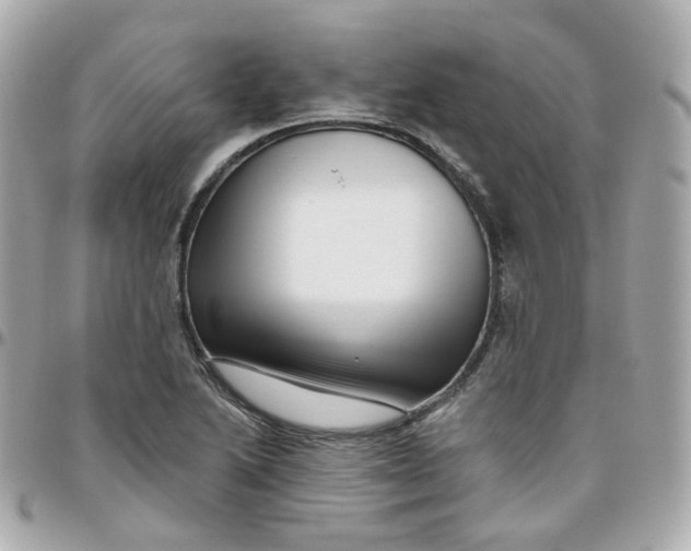 X0000095901222200802011121