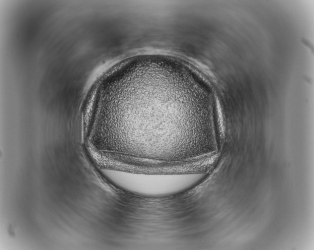 X0000095901223200802011121