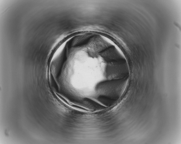 X0000095901224200802011121