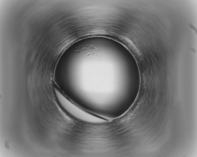 X0000095901225200802011121