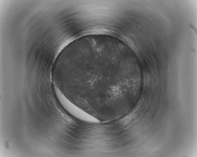 X0000095901226200802011121