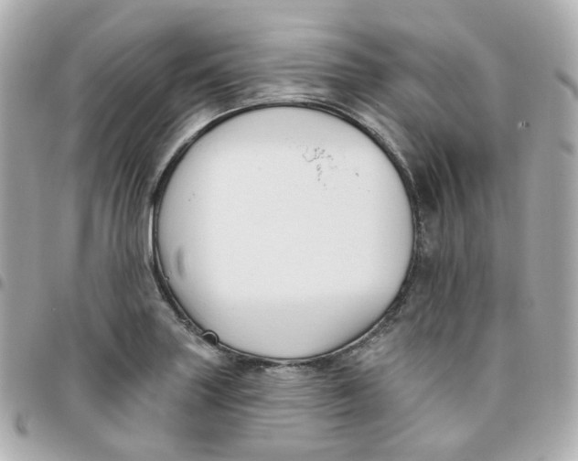 X0000095901227200802011121