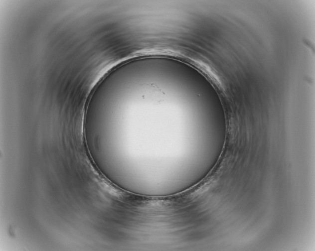 X0000095901228200802011121