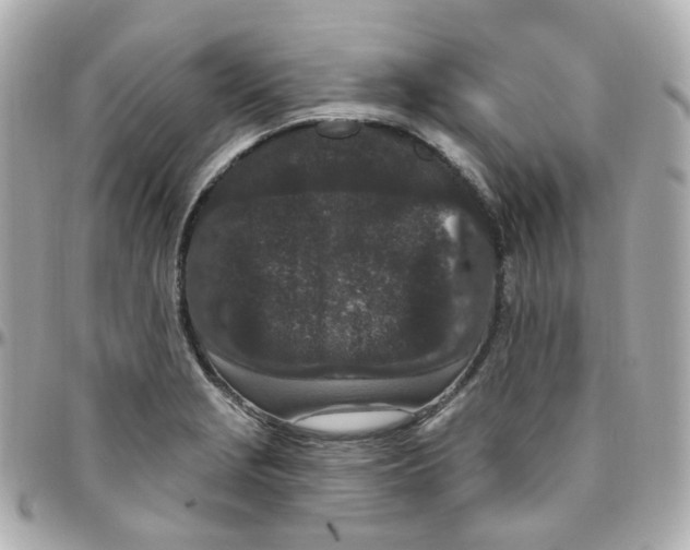 X0000095901229200802011121