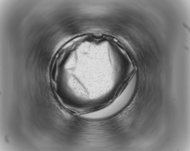 X0000095901230200802011121