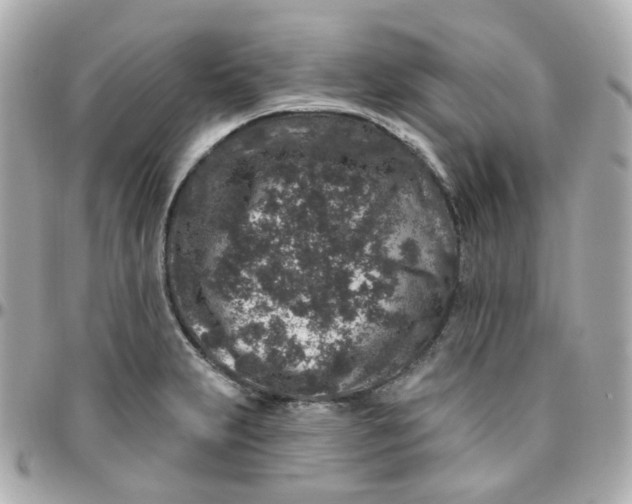 X0000095901231200802011121