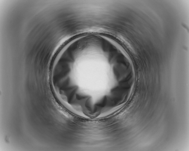 X0000095901232200802011121