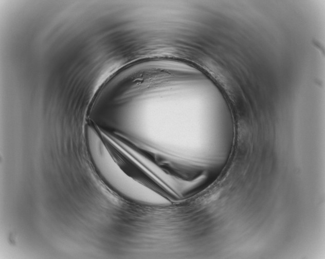 X0000095901234200802011121