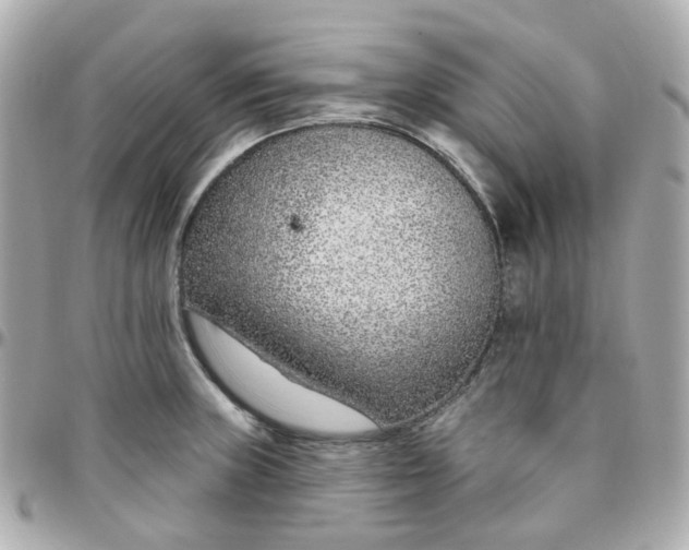 X0000095901235200802011121