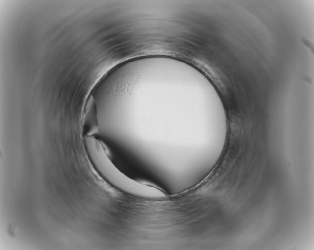 X0000095901236200802011121