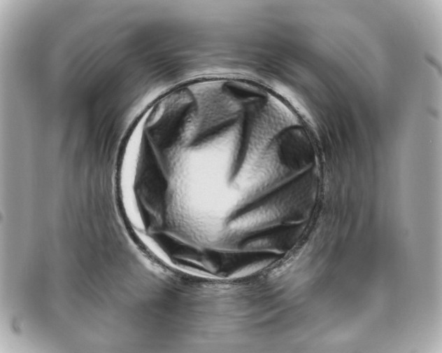 X0000095901237200802011121