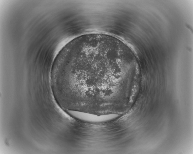 X0000095901239200802011121