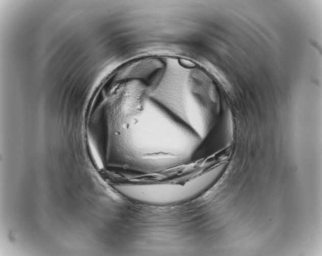 X0000095901240200802011121