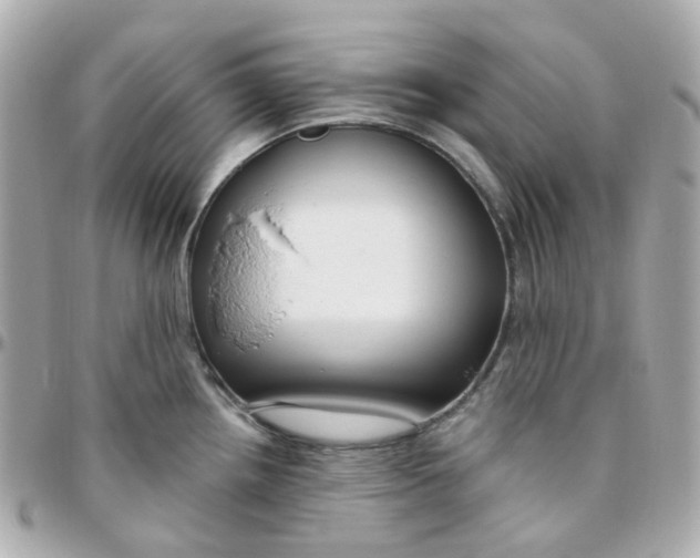 X0000095901242200802011121