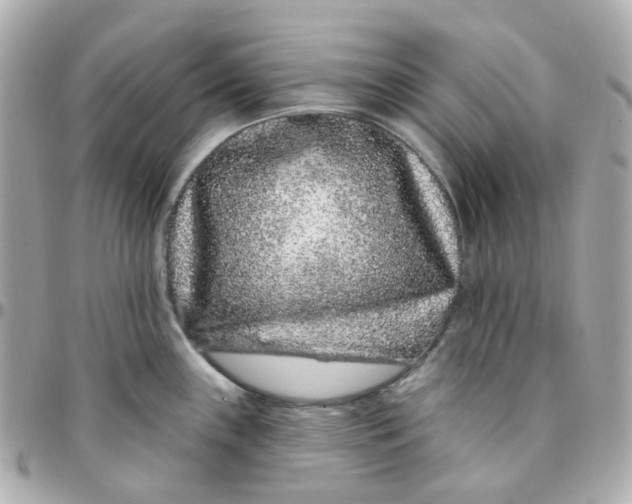 X0000095901243200802011121