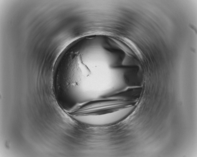 X0000095901244200802011121