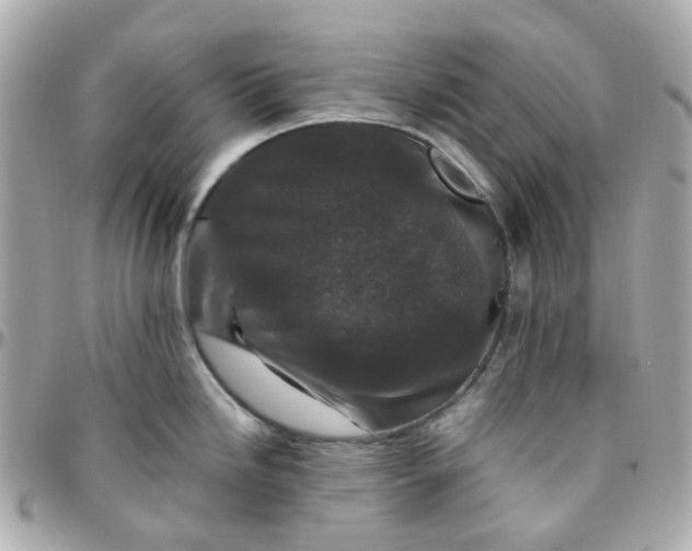 X0000095901246200802011121