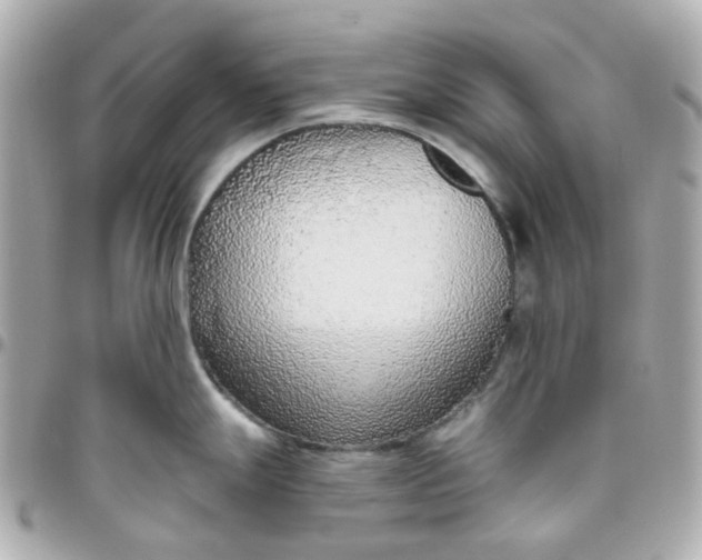 X0000095901247200802011121