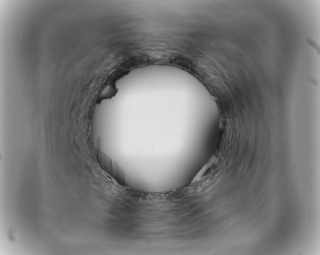 X0000095901249200802011120