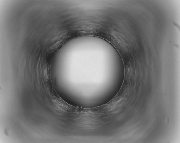 X0000095901250200802011120