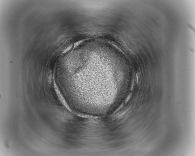 X0000095901251200802011120