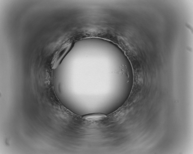 X0000095901253200802011120