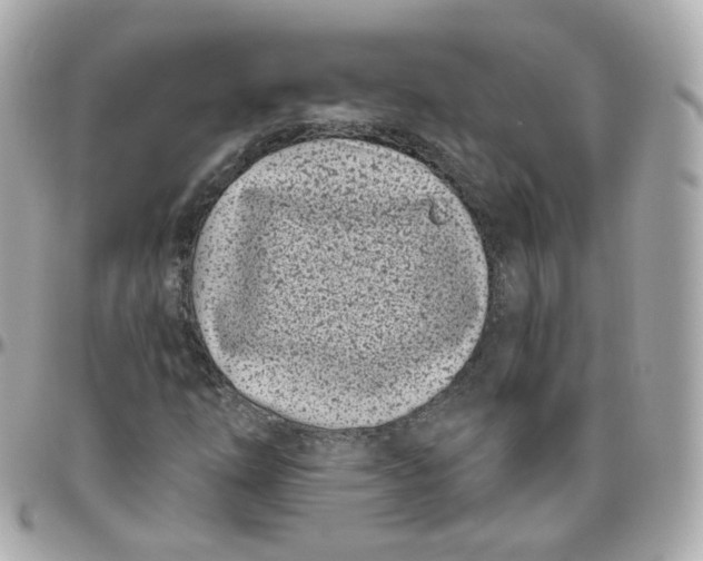 X0000095901254200802011120