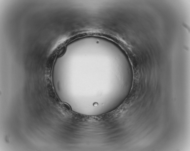 X0000095901255200802011120