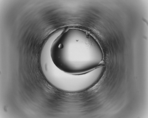 X0000095901257200802011120