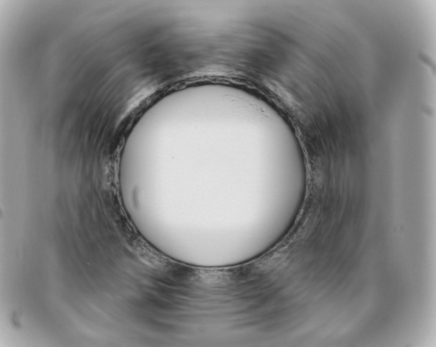 X0000095901258200802011120