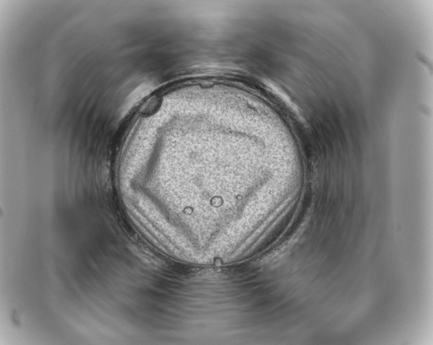 X0000095901259200802011120