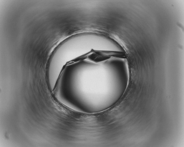 X0000095901260200802011120