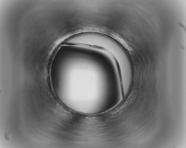 X0000095901264200802011120