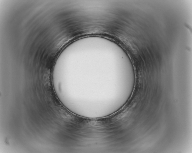 X0000095901265200802011120