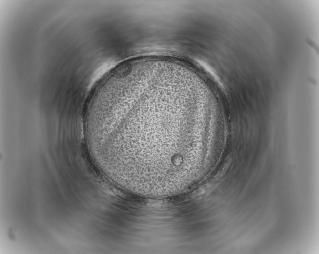 X0000095901267200802011120