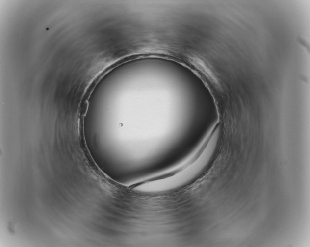 X0000095901268200802011120