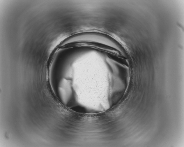 X0000095901269200802011120