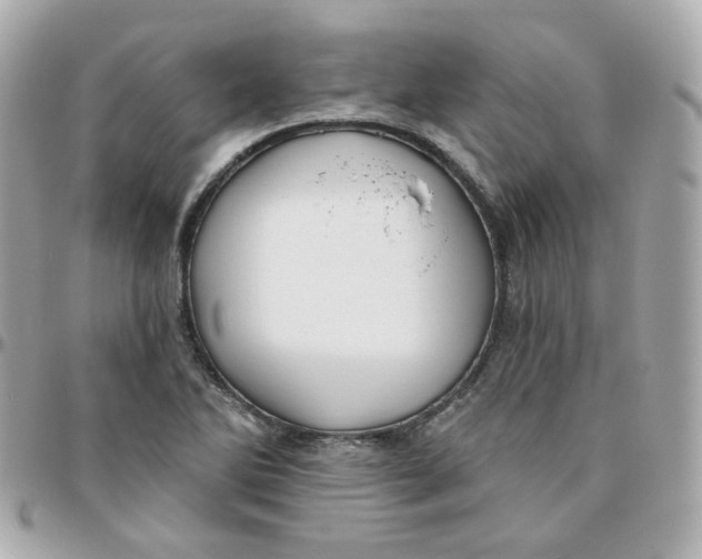 X0000095901270200802011120