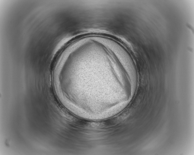 X0000095901271200802011120