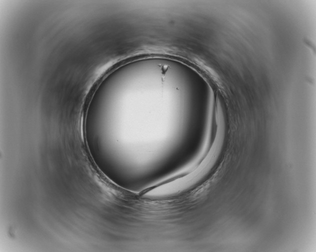 X0000095901272200802011120