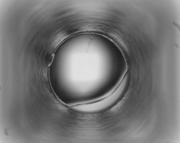 X0000095901273200802011120