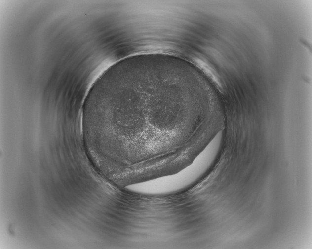 X0000095901275200802011120