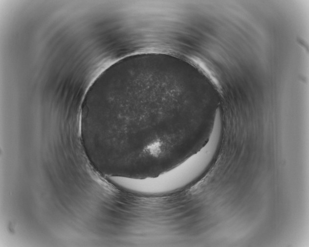 X0000095901276200802011120