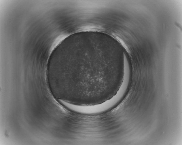 X0000095901277200802011120