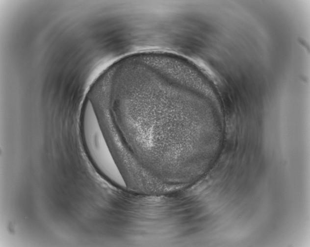 X0000095901279200802011120