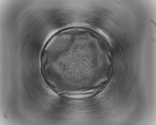 X0000095901280200802011120