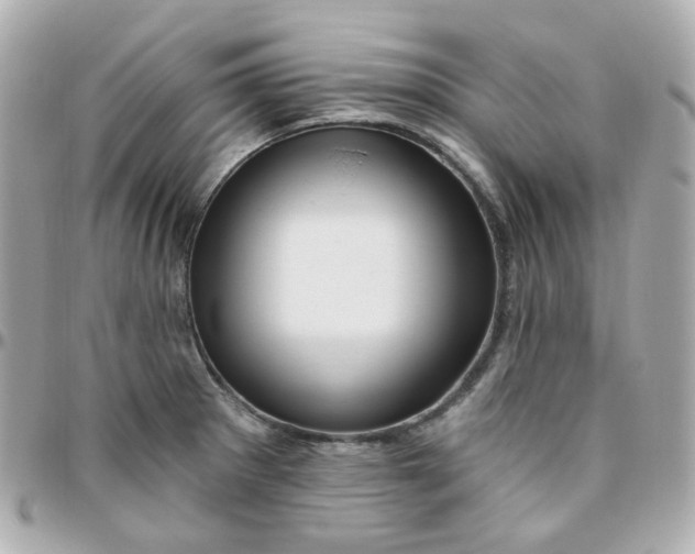 X0000095901281200802011120