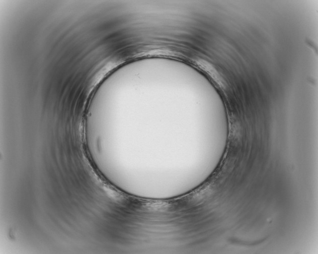 X0000095901282200802011120