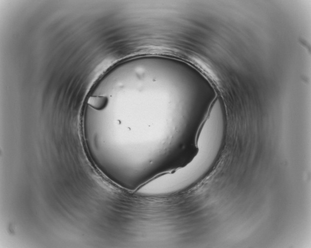 X0000095901283200802011120