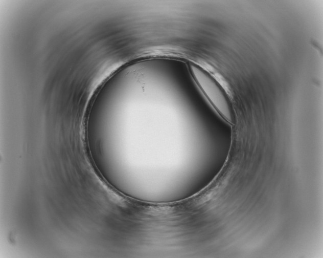 X0000095901285200802011120